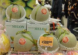 CandidatMelon03.jpg
