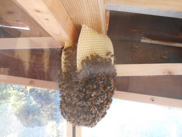 DSCN0568.JPG