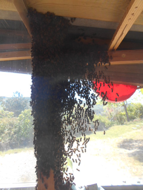 DSCN0569.JPG
