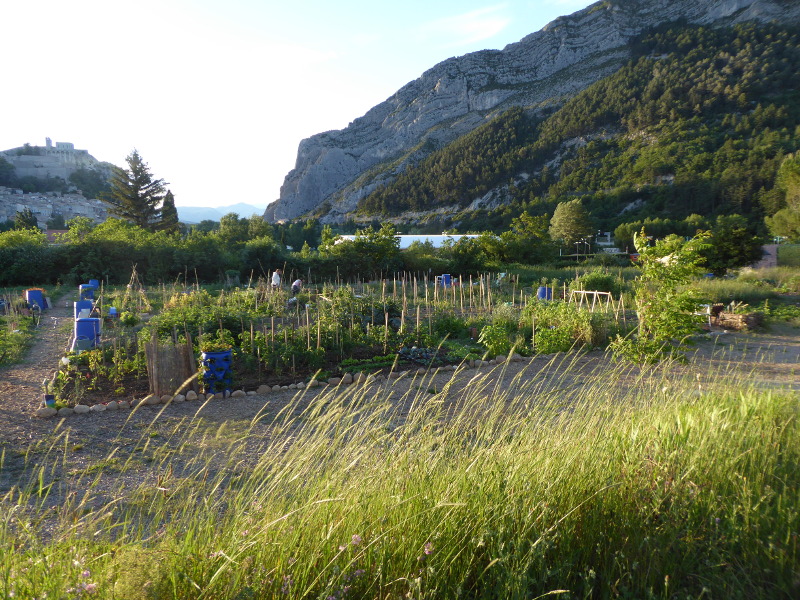 "Jardin partagé des Marres à Sisteron"