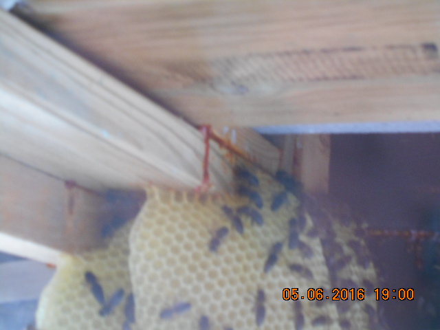 DSCN0619.JPG