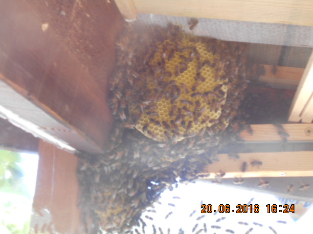 DSCN0633.JPG