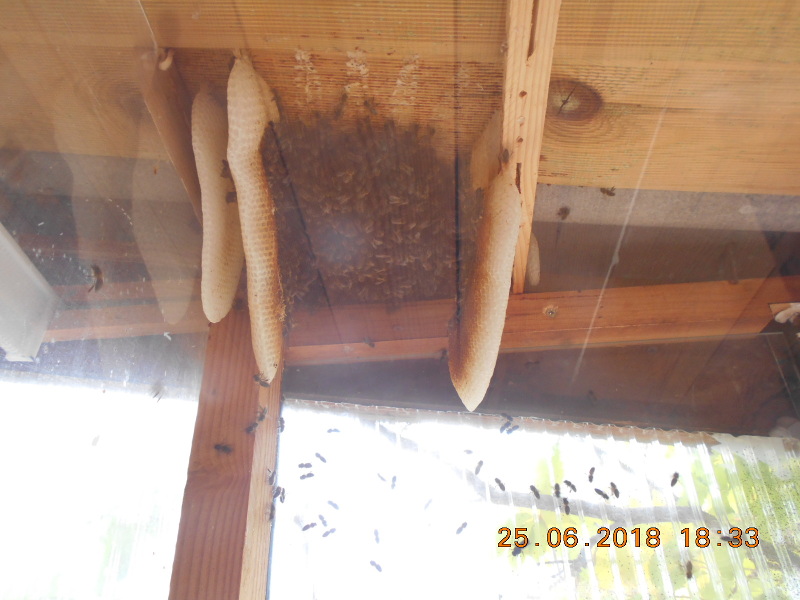 DSCN1827.JPG