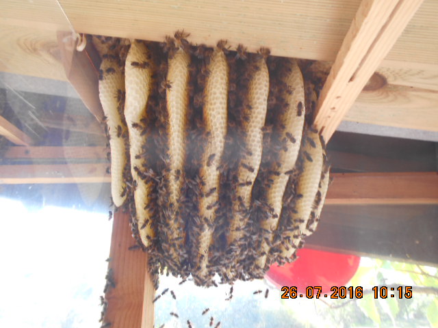 DSCN0662.jpg