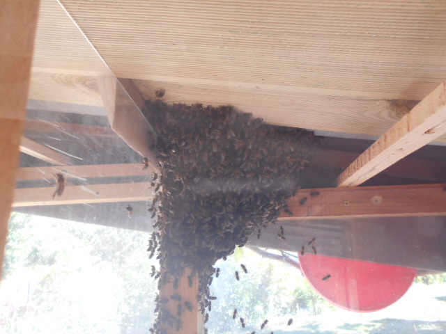 DSCN0570.JPG