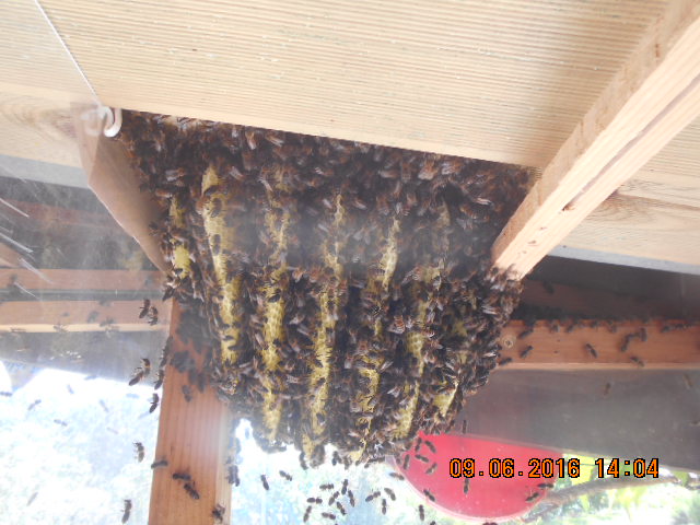 DSCN0623.JPG
