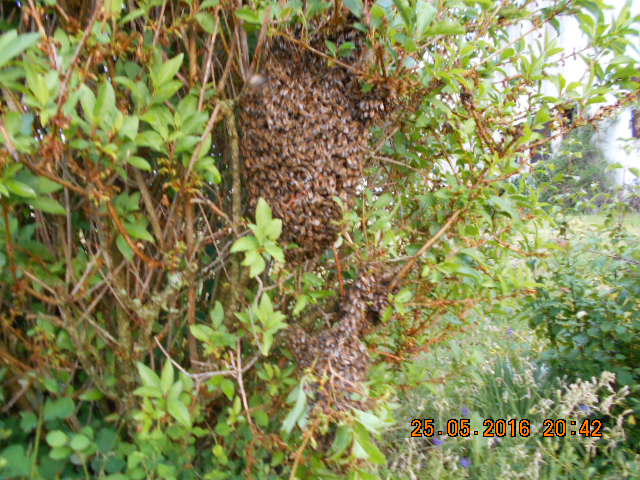 DSCN0587.JPG