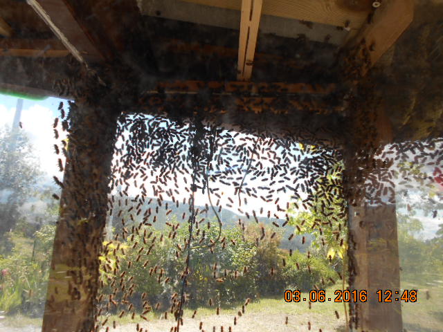 DSCN0602.JPG