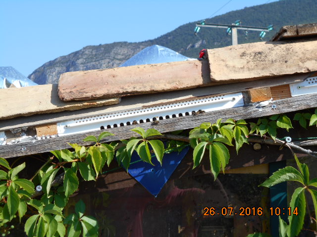 DSCN0661.JPG