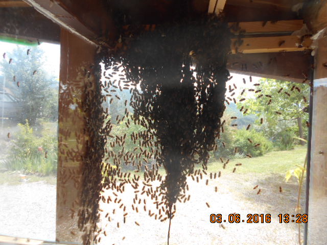 DSCN0605.JPG