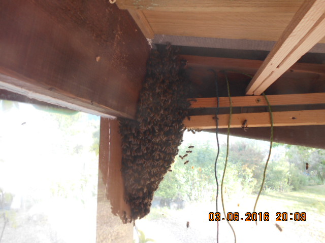 DSCN0609.JPG